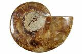 Cut & Polished Ammonite Fossil (Half) - Madagascar #282601-1
